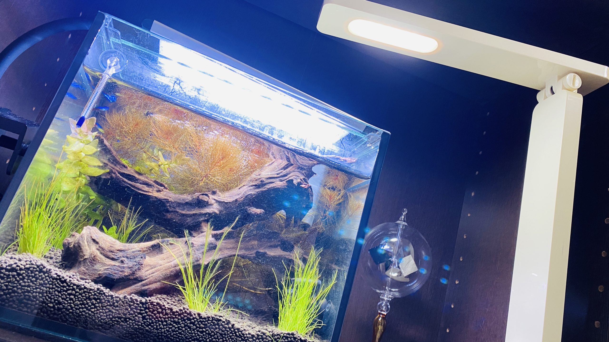 【水槽用LEDライト／スポットライト クランプ式】 水槽用LEDライト／スポットライト クランプ式】 ライトスタンド 【水槽